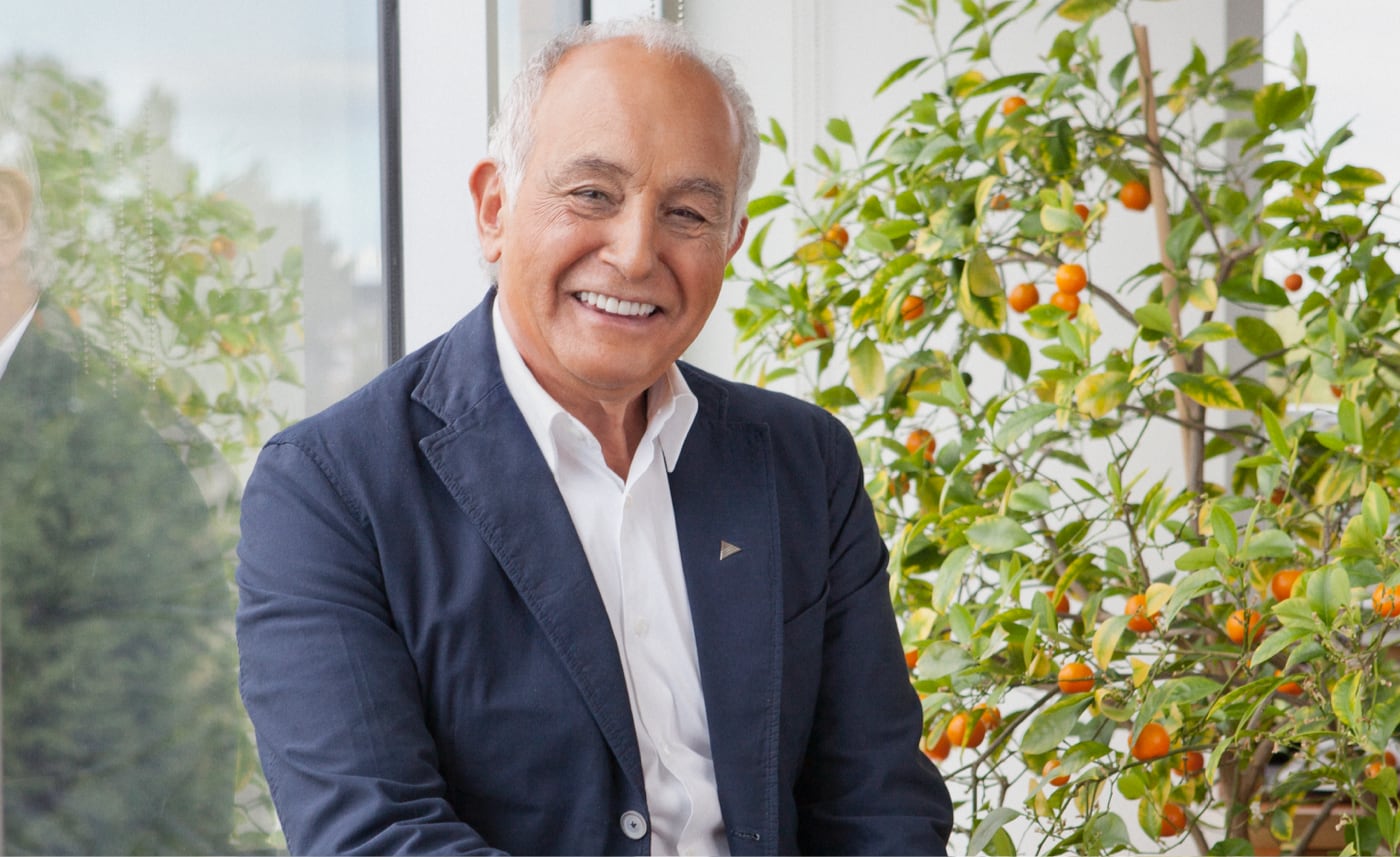 aldo handbags & purses