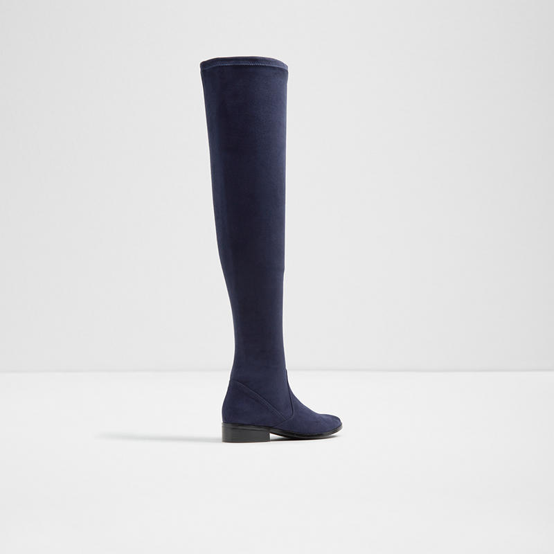 aldo boots elinna