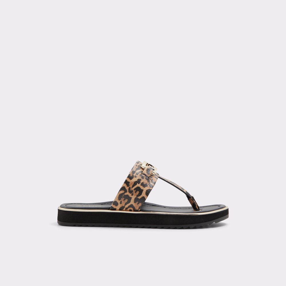 Women's Shoes & Footwear | ALDO US
