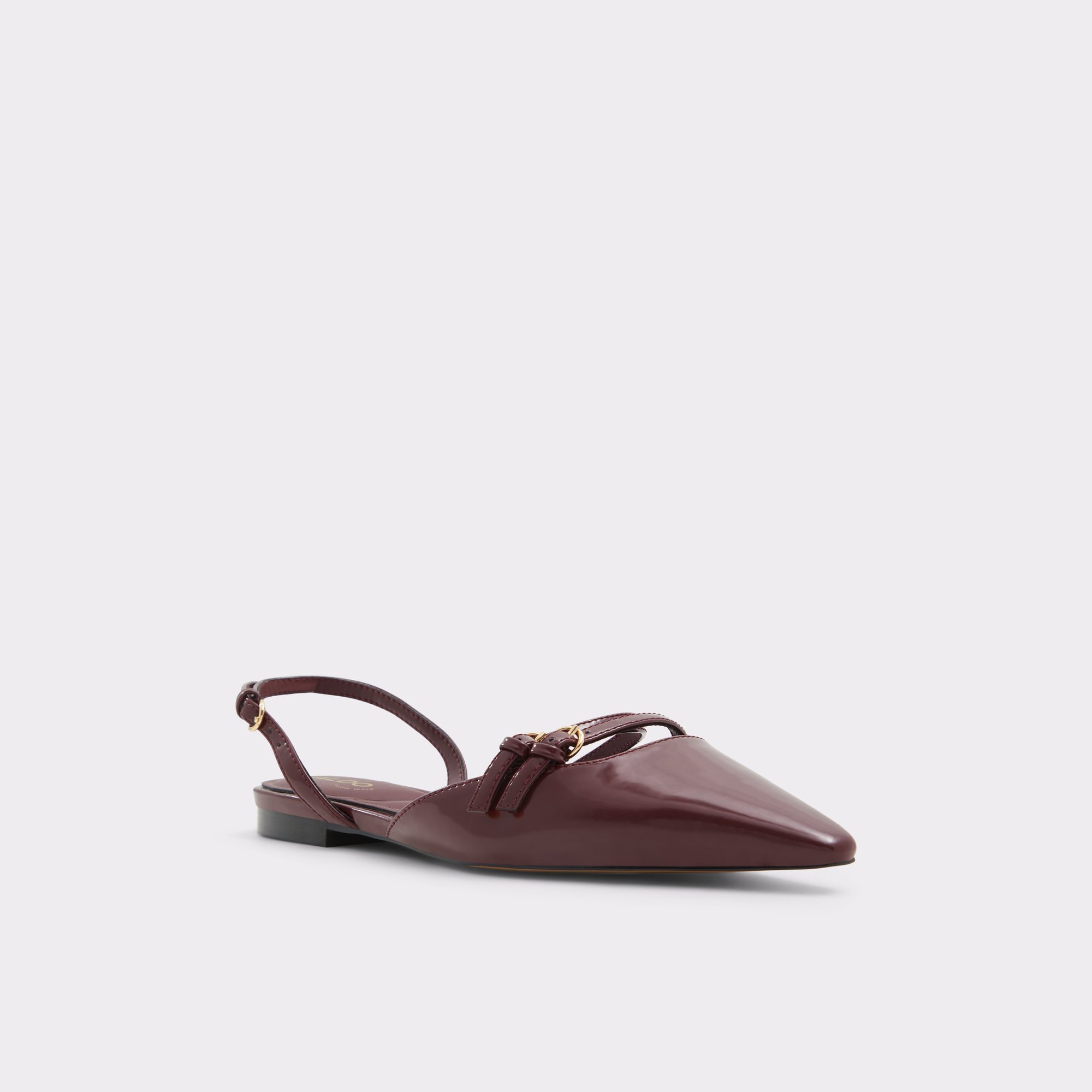 Alanie Bordo Women's Slingbacks | ALDO Canada