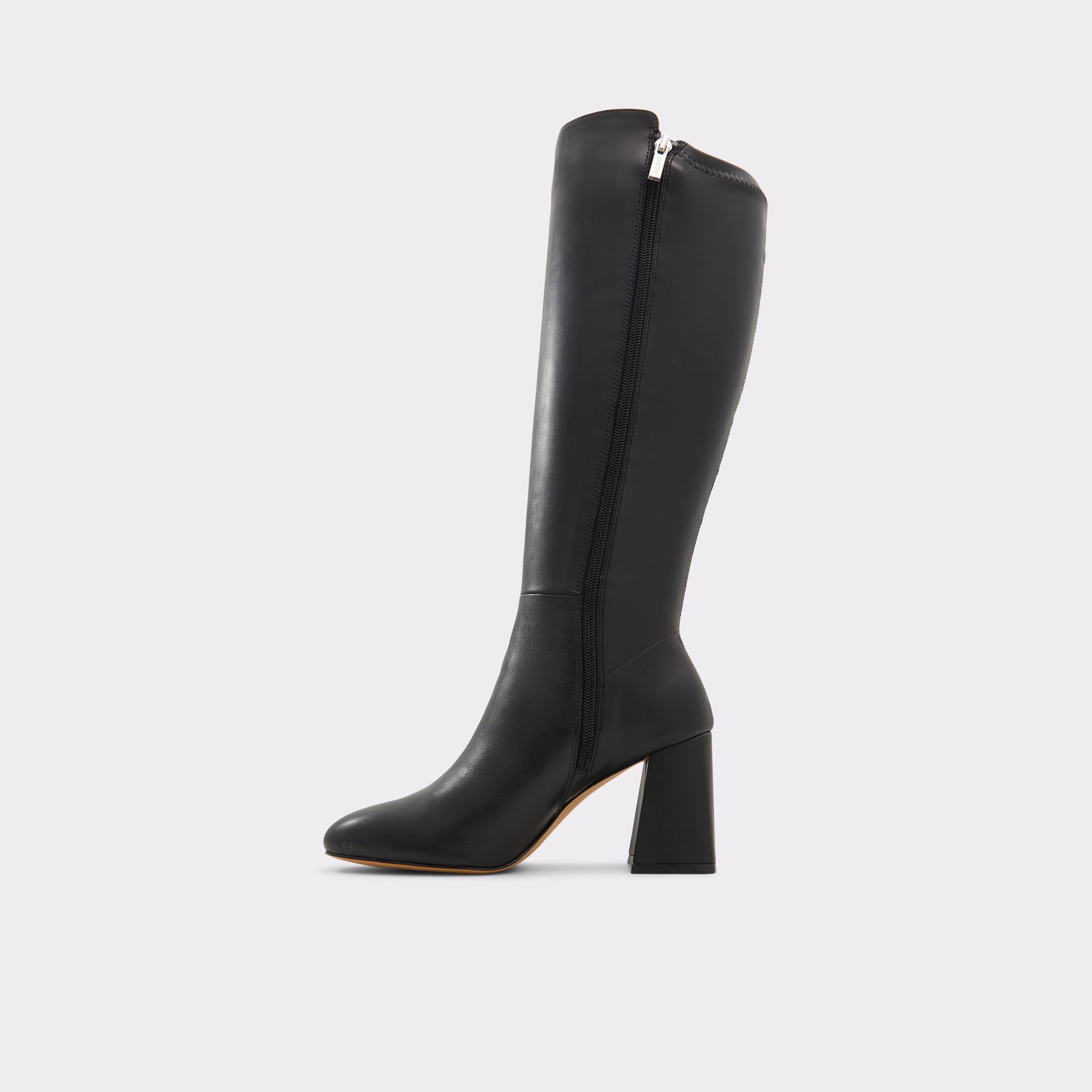 Alodenaryn Black Leather Smooth Women's Dress boots | ALDO Canada