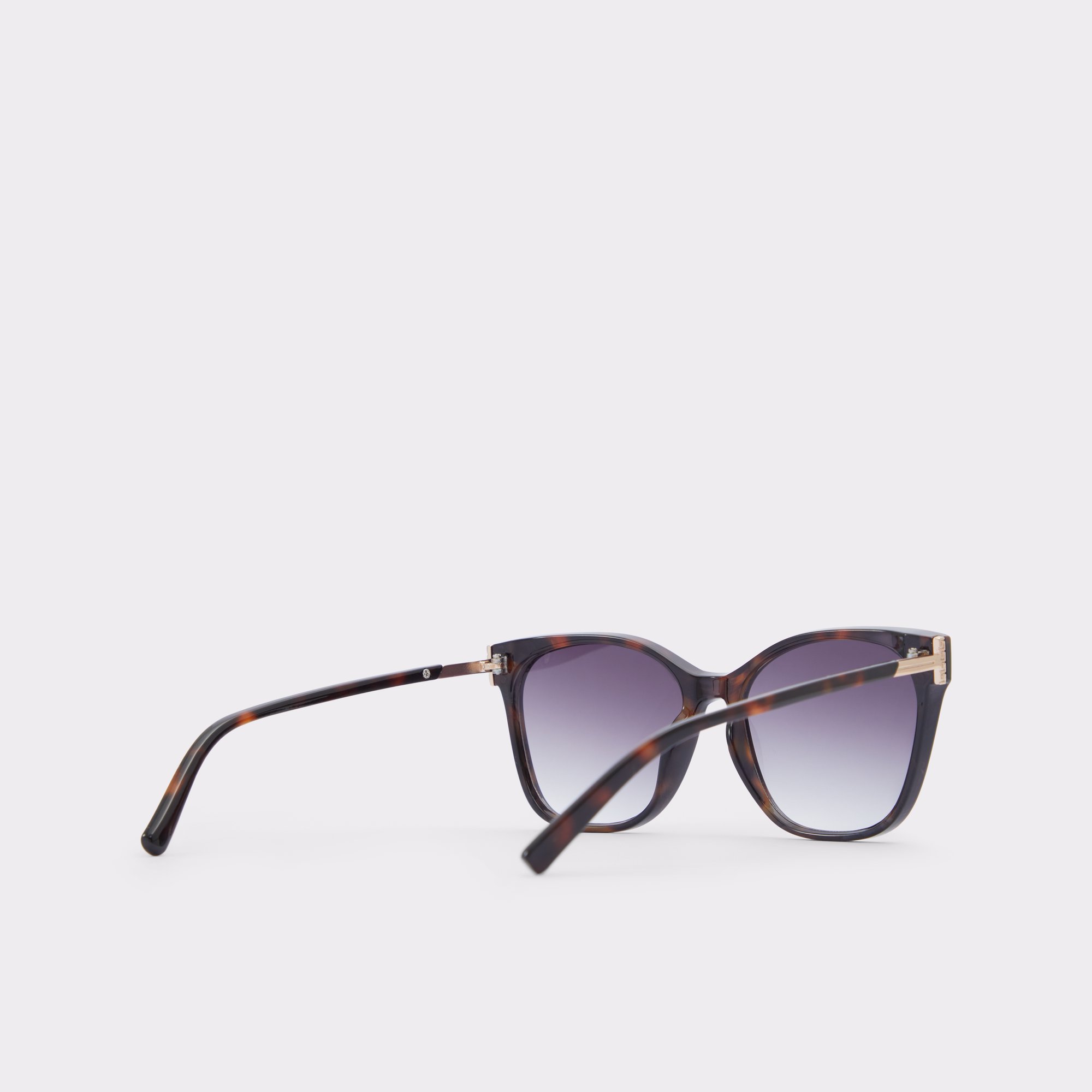 Annamagyn Other Brown Women's Sunglasses | ALDO Canada