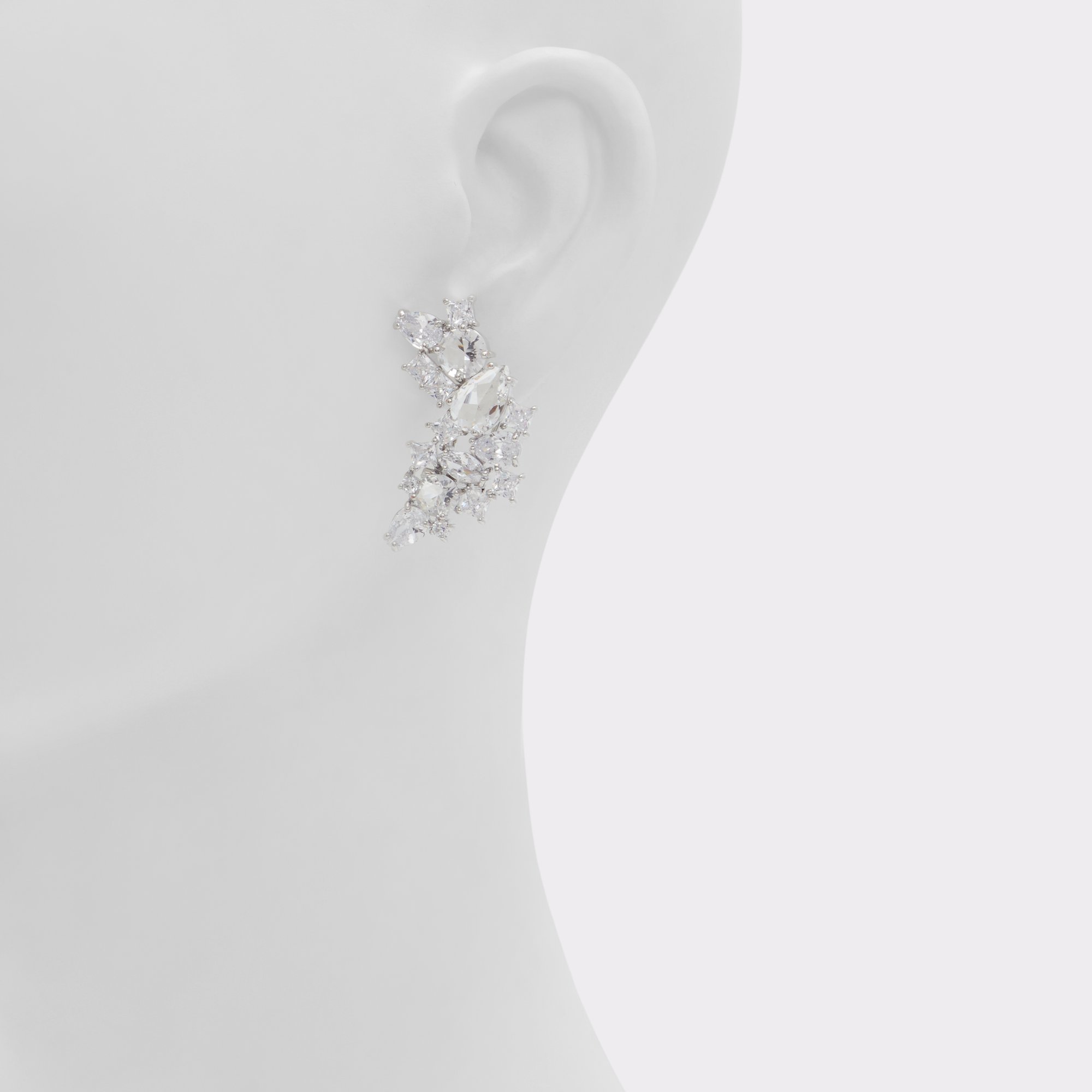 Arylian Silver/Clear Multi Women's Earrings | ALDO US