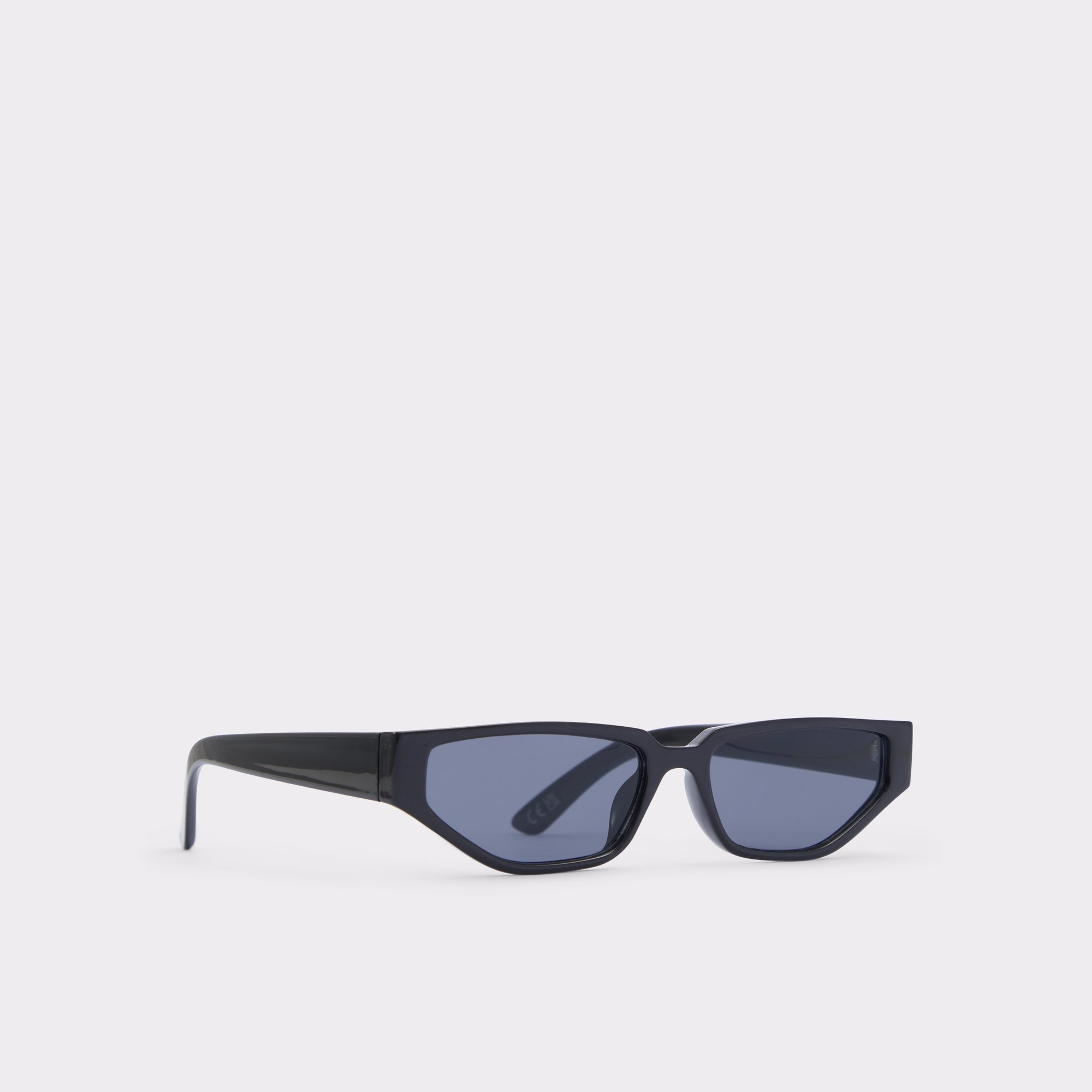 Babrindar Black Women's Sunglasses | ALDO US