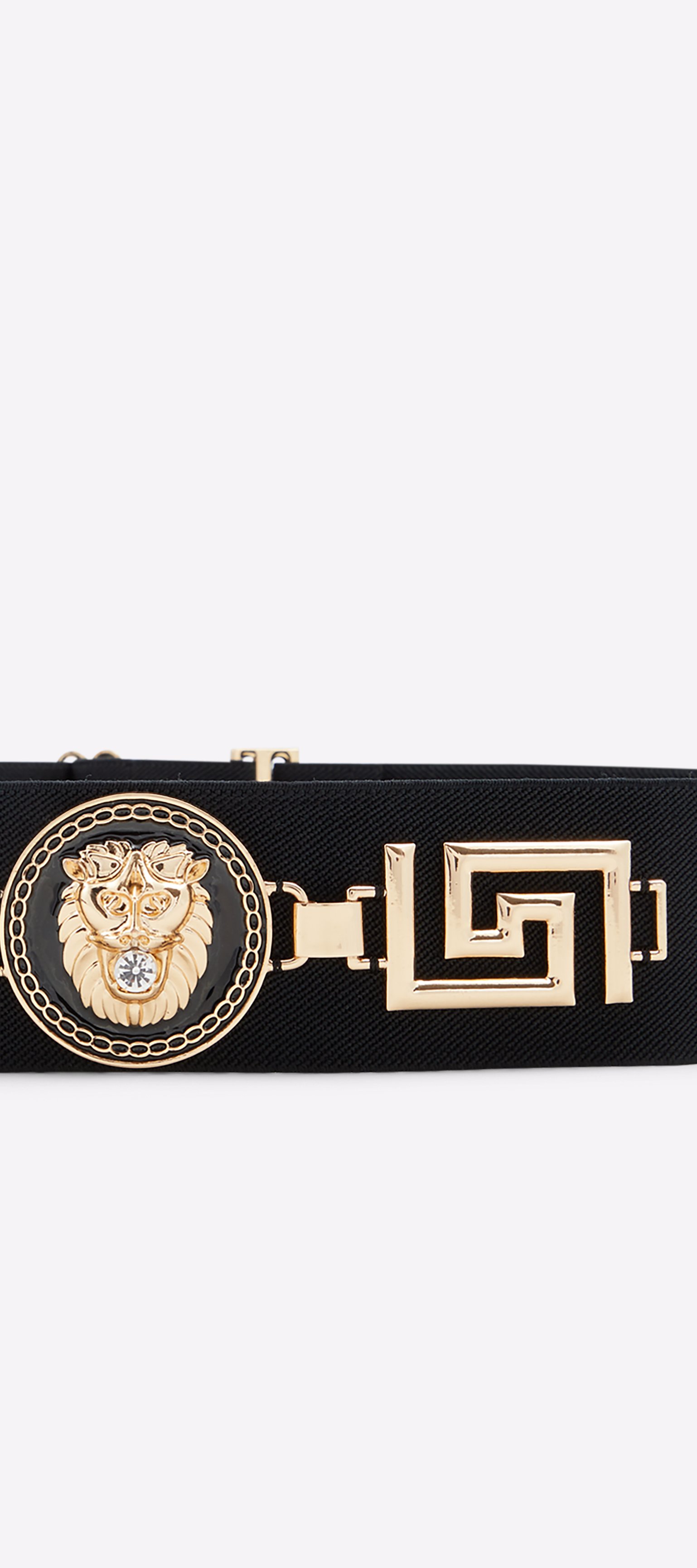 Bayssa Black-Gold Multi Women's Belts | ALDO Canada