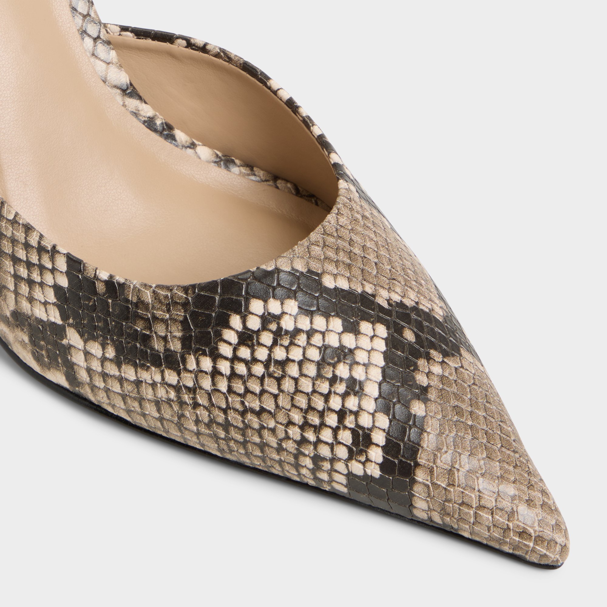 Beatrixy Python Women's Heeled mules | ALDO US