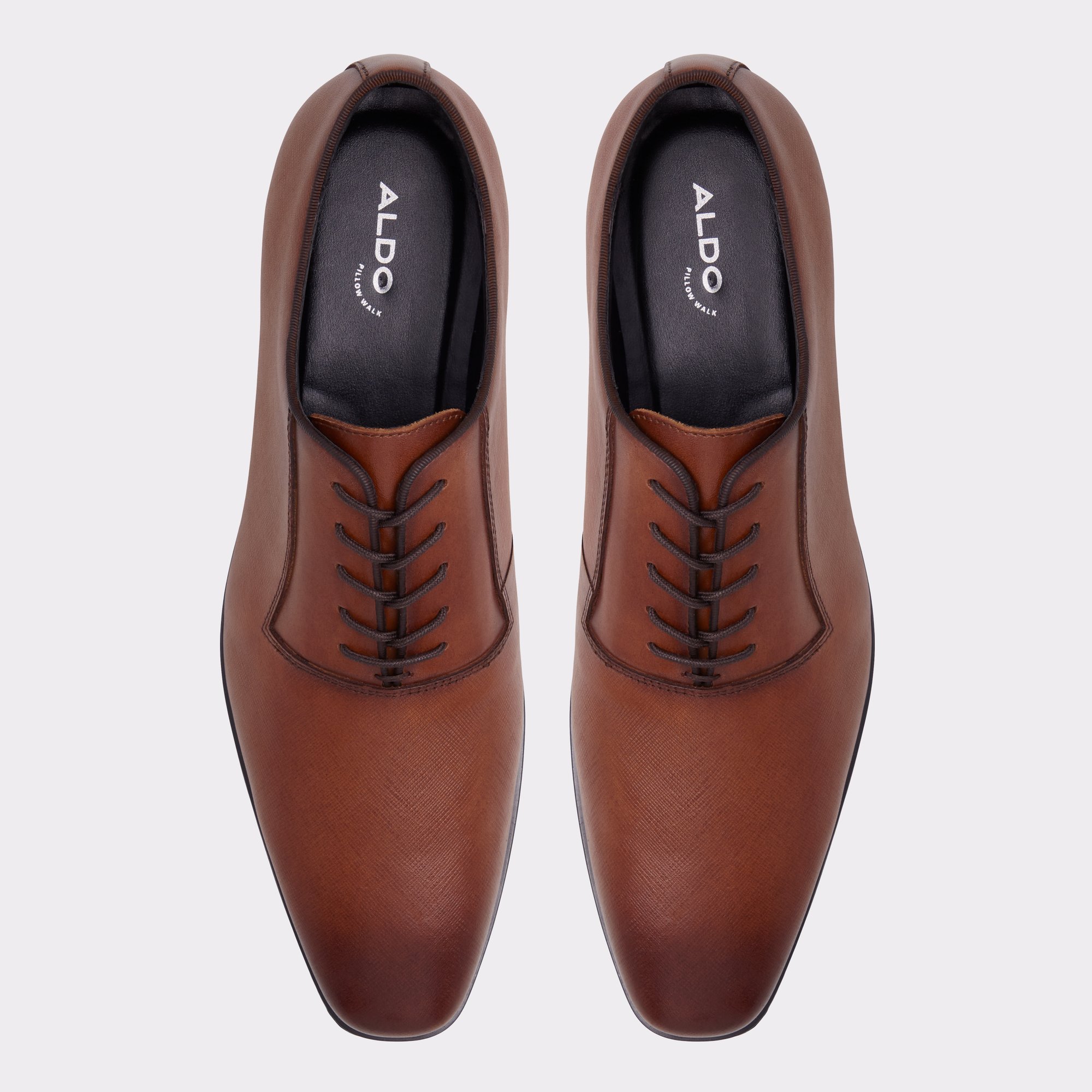 Biaggoo Cognac Men's Oxfords & Lace-ups | ALDO Canada