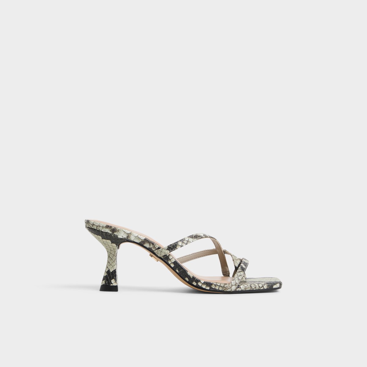 【ALDO】キャット Wicked x Aldo + Defy Kitten Heels