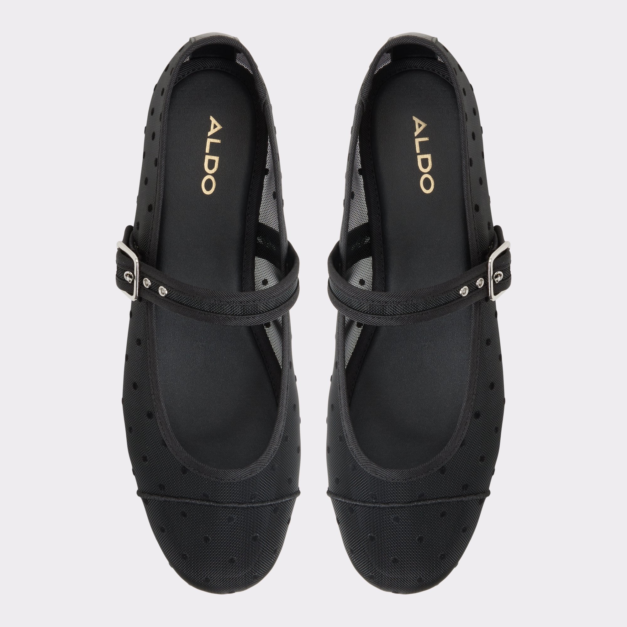 Caylyn Autre Noir Femmes Talons plats | ALDO Canada
