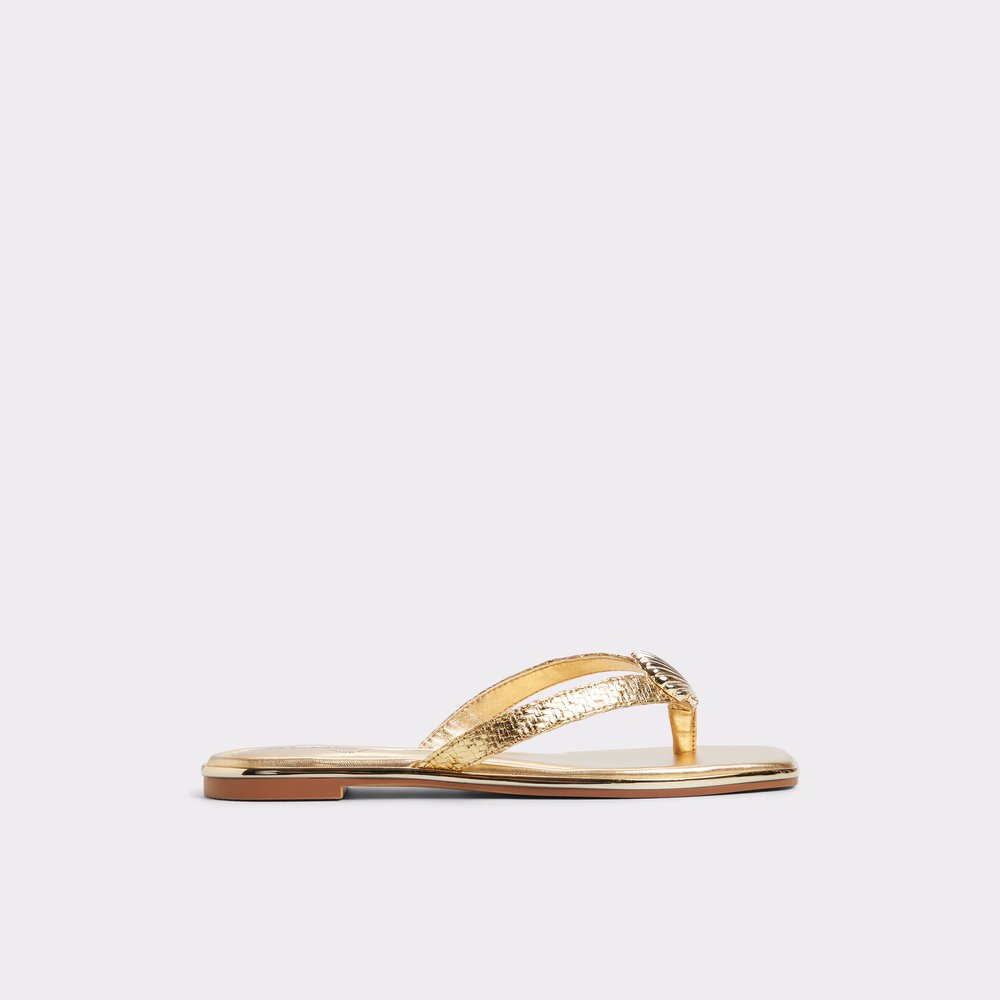 conchiglia_gold_711-002-