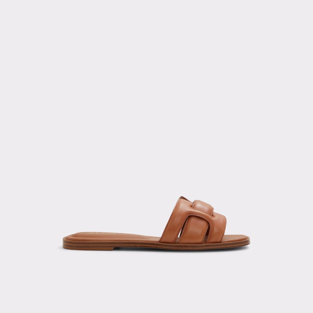 Elenaa Medium Brown Women's Flat Sandals | ALDO US