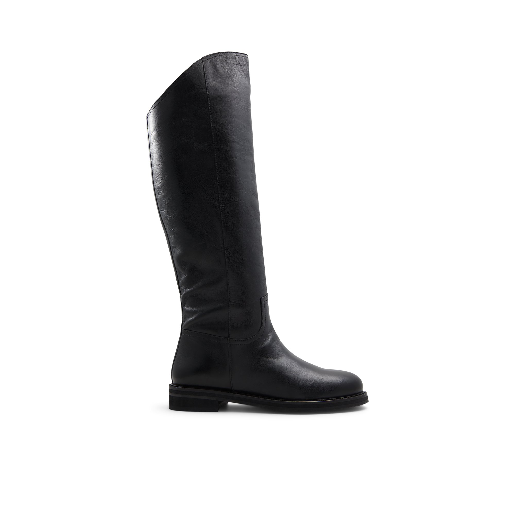 ALDO Landonna - Women's Boots Tall - Black