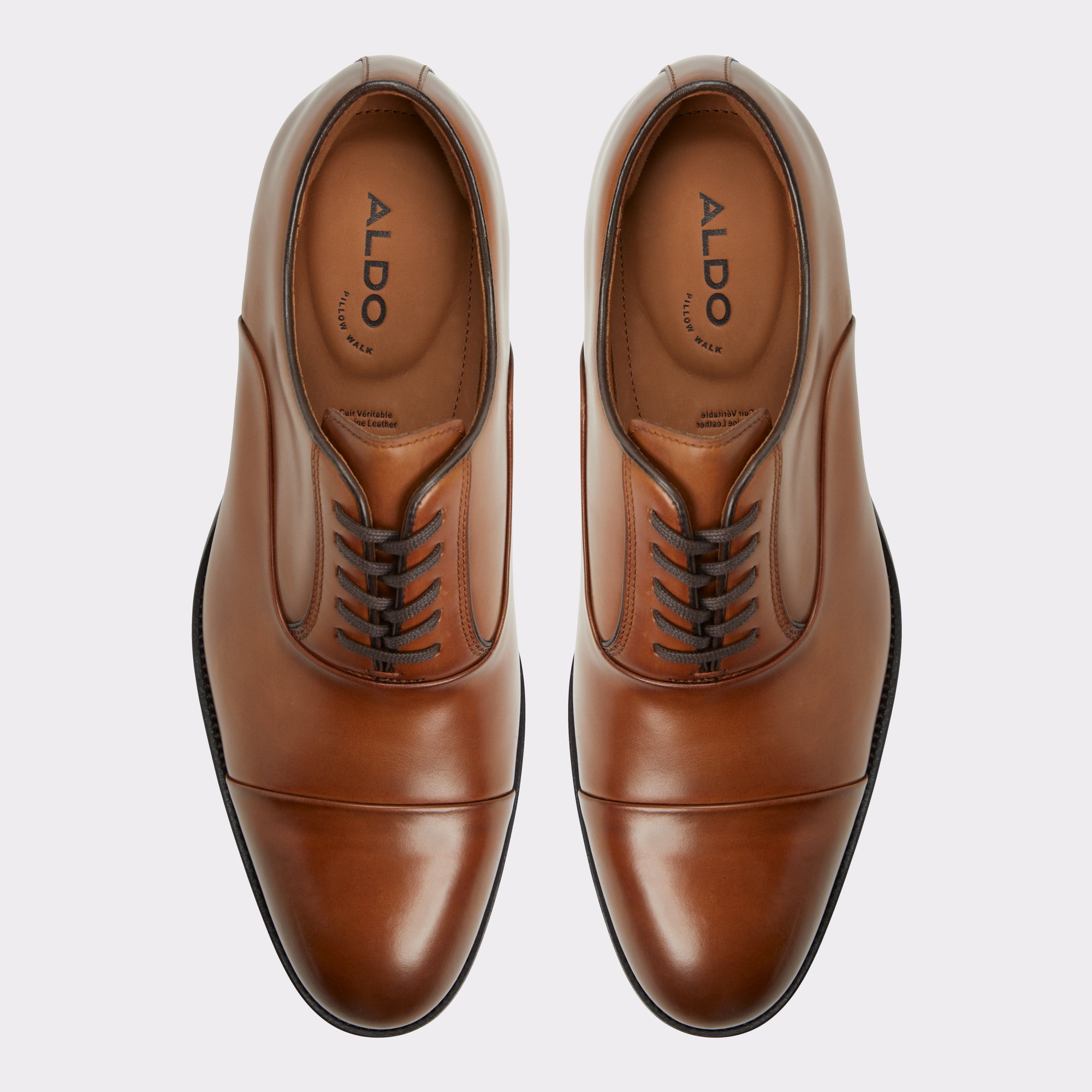 Lazio Cognac Hommes Chaussures oxford et lacées | ALDO Canada
