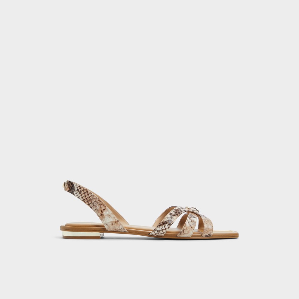 Women's Shoes, Handbags & Accessories | ALDO US
