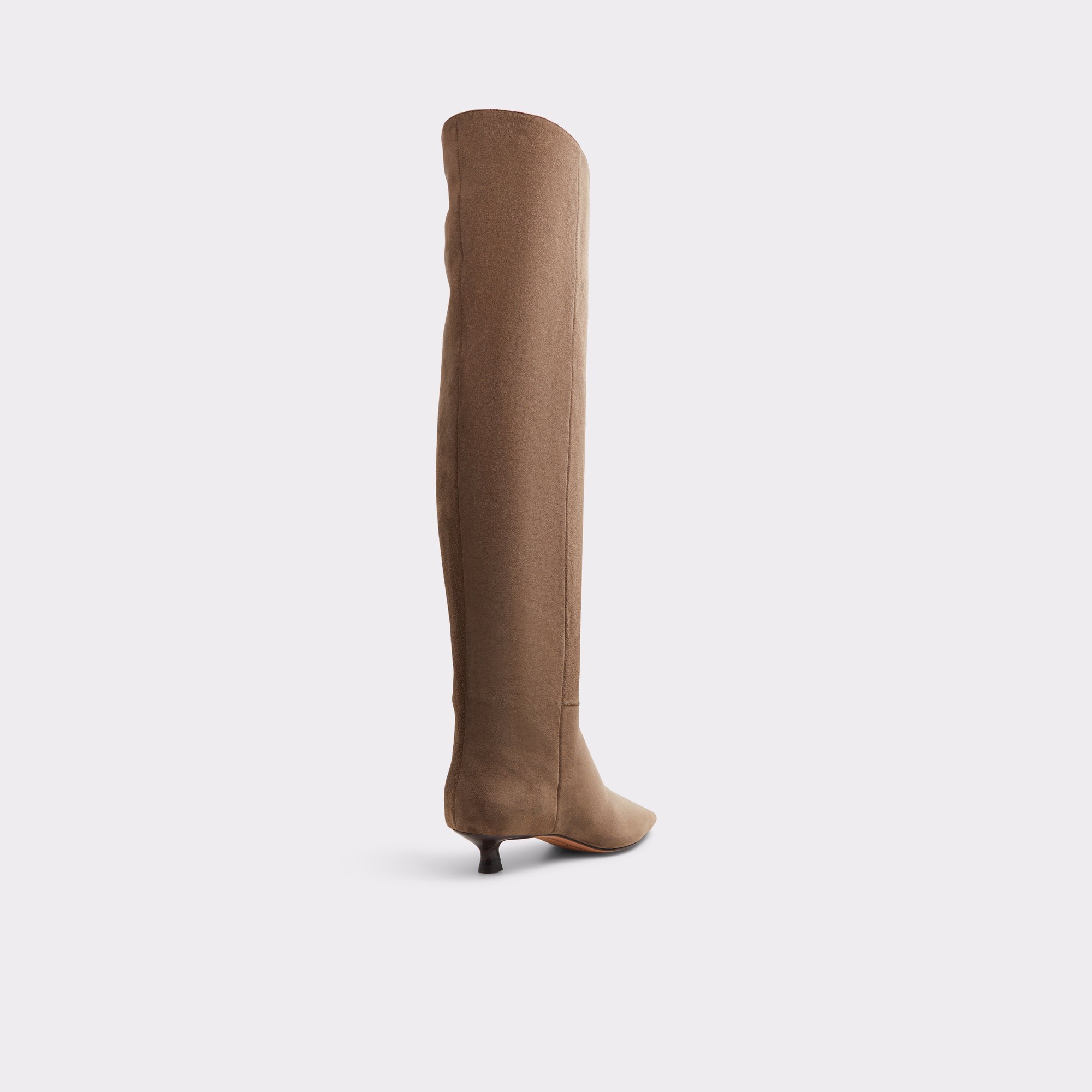 Muttsee Other Brown Women's Tall Boots | ALDO Canada