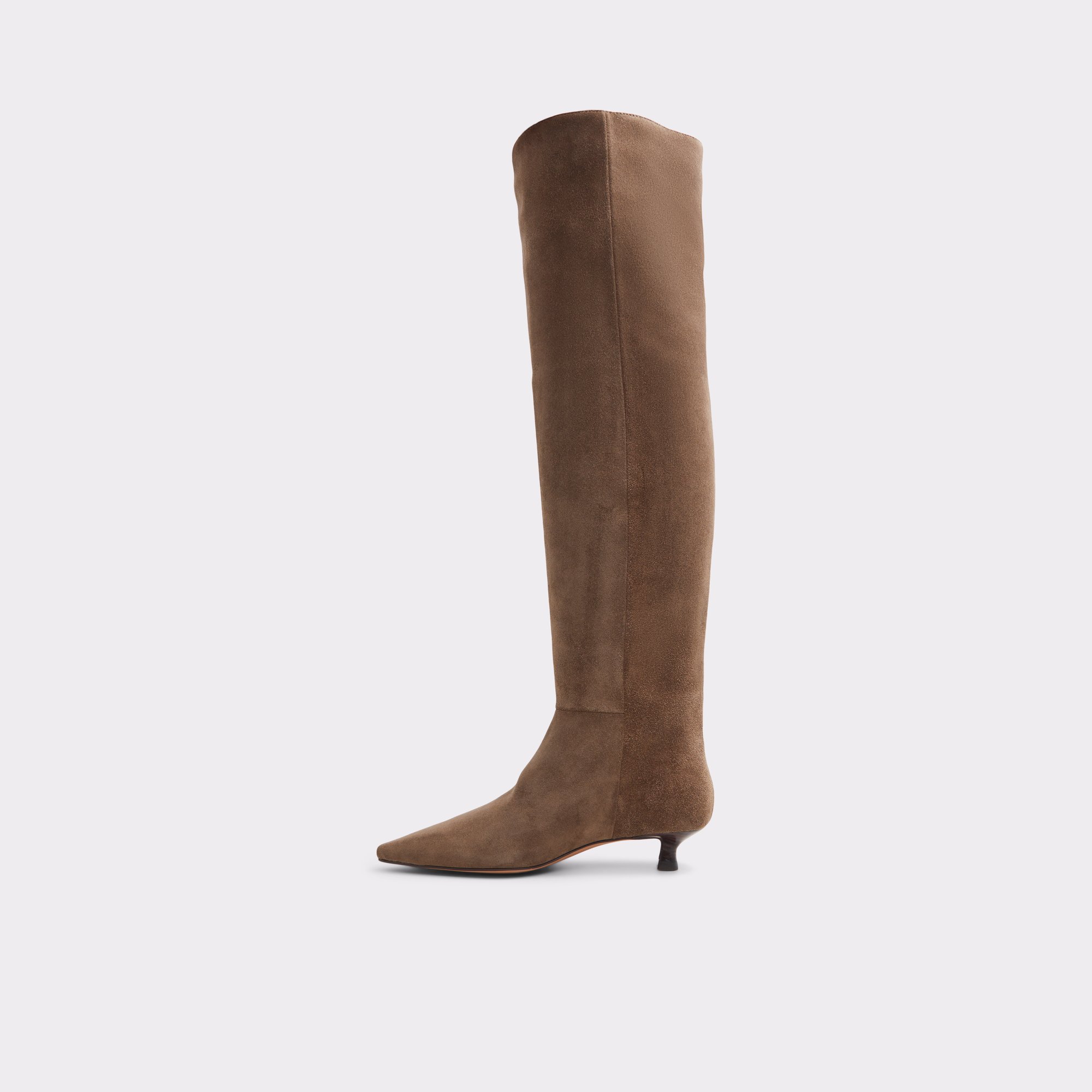 Muttsee Other Brown Women's Tall Boots | ALDO Canada