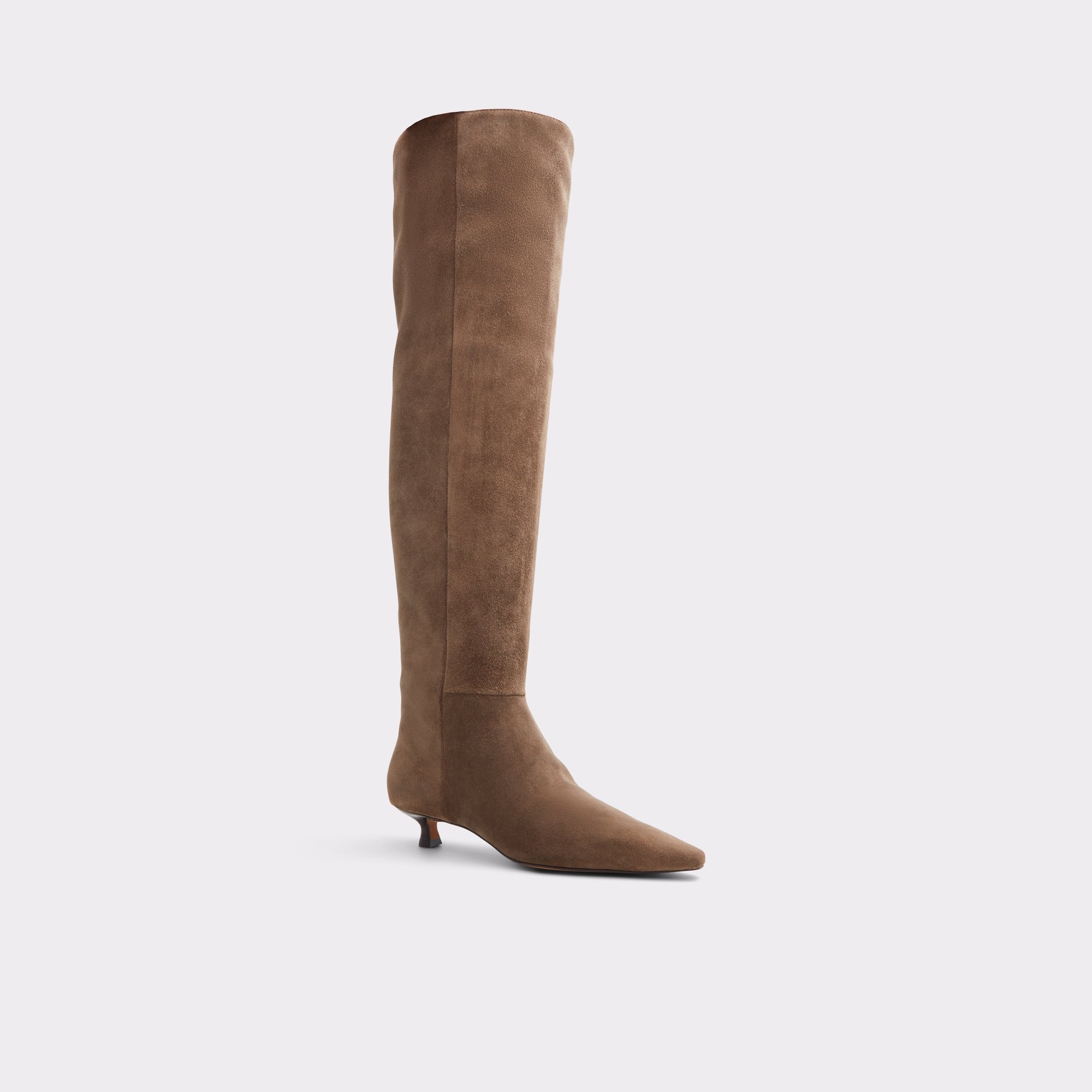 Muttsee Other Brown Women's Tall Boots | ALDO Canada