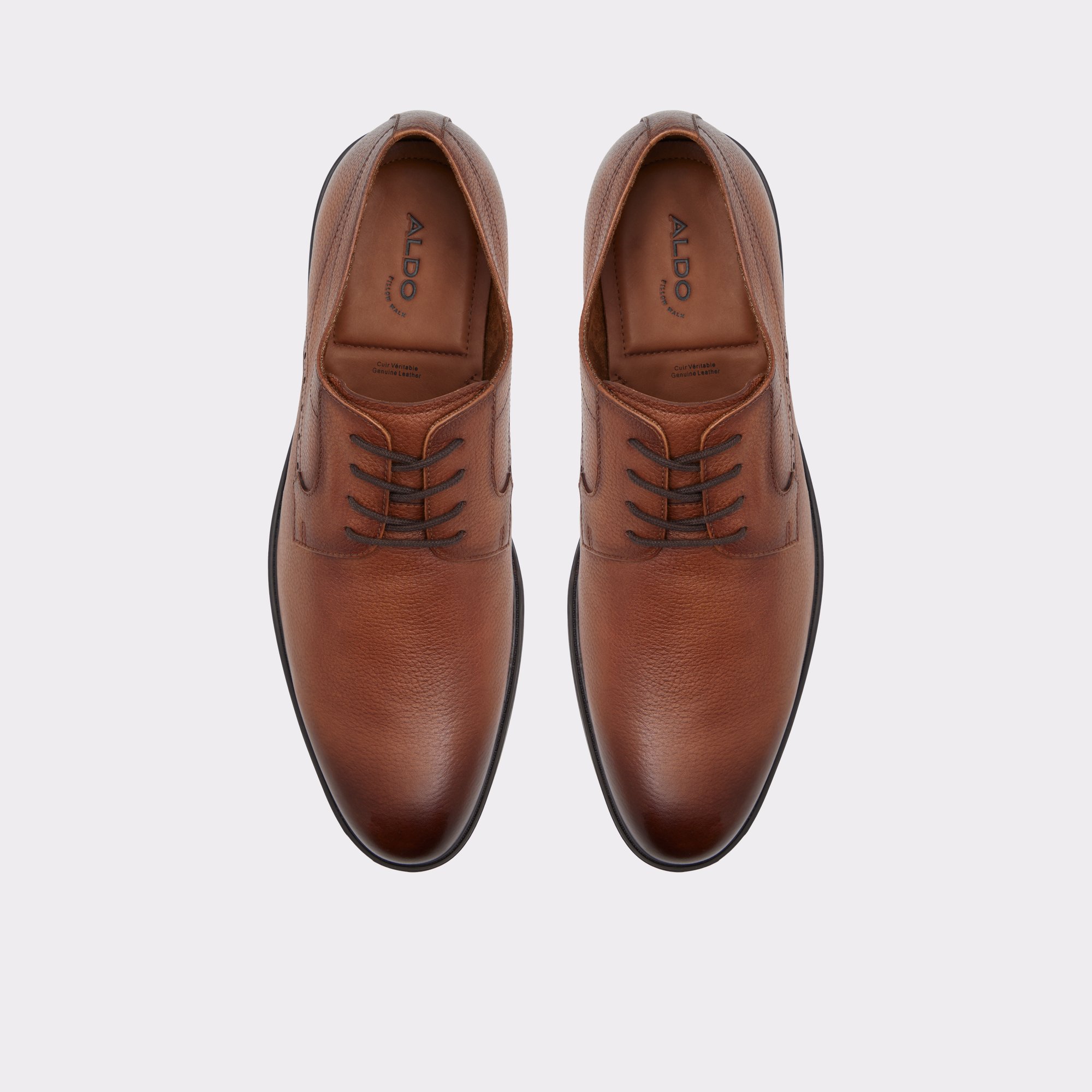 Nobel Brown Men's Dress Shoes | ALDO Canada