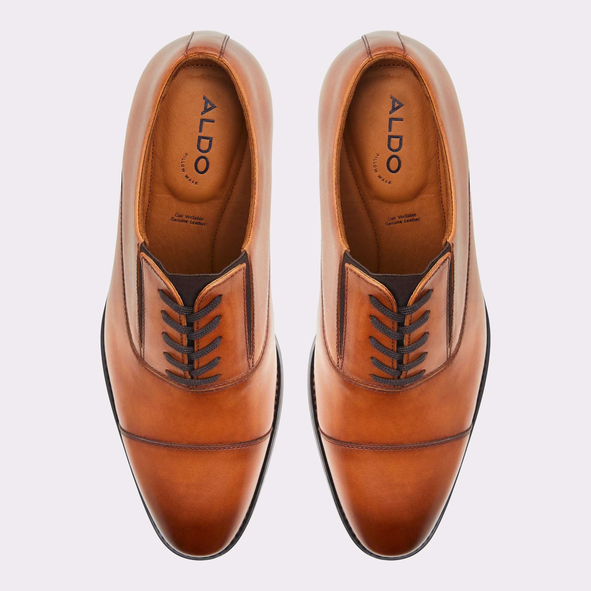 Paxley Cognac Men's Oxfords & Lace-ups | ALDO Canada