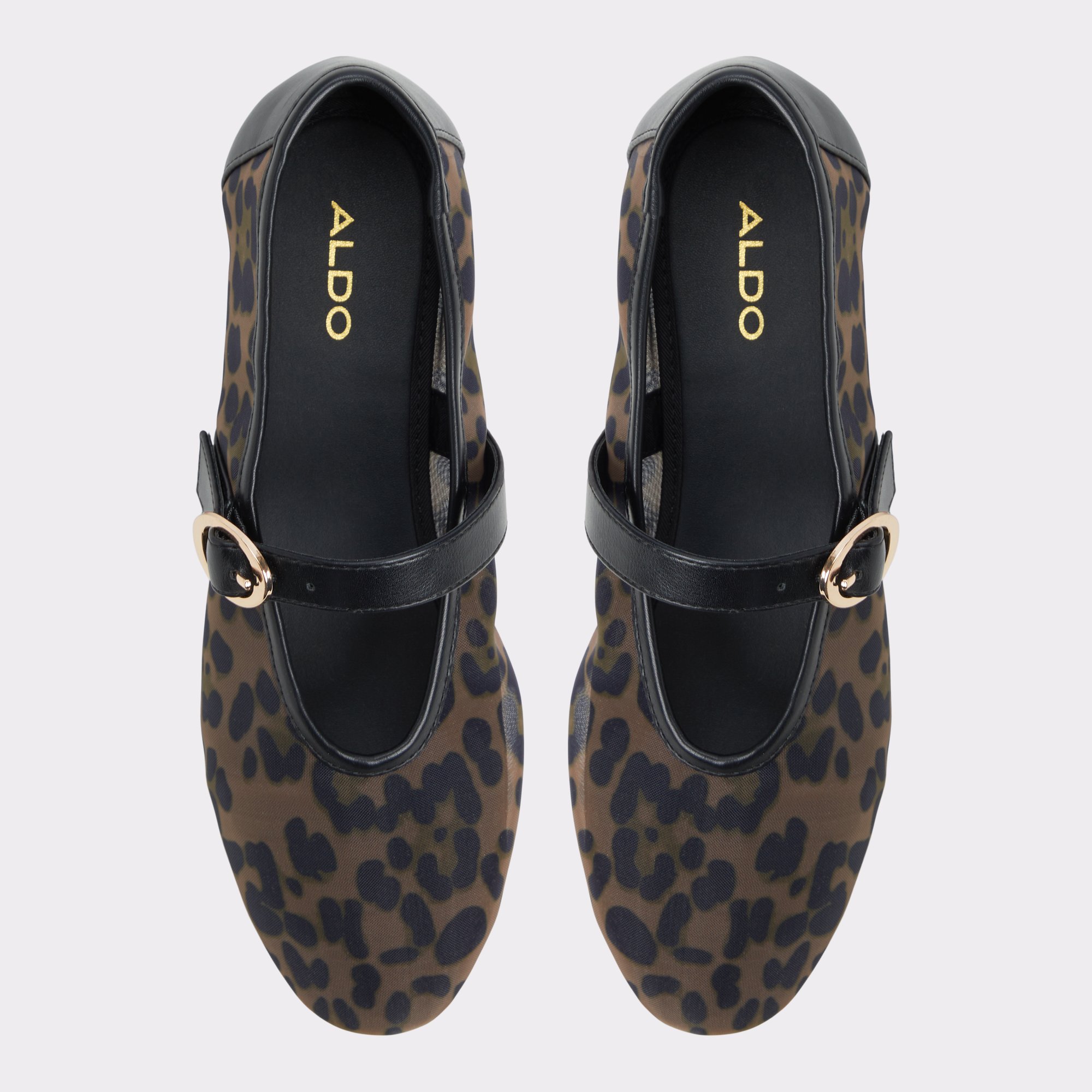 Quincey Marron Multi Femmes Talons plats | ALDO Canada