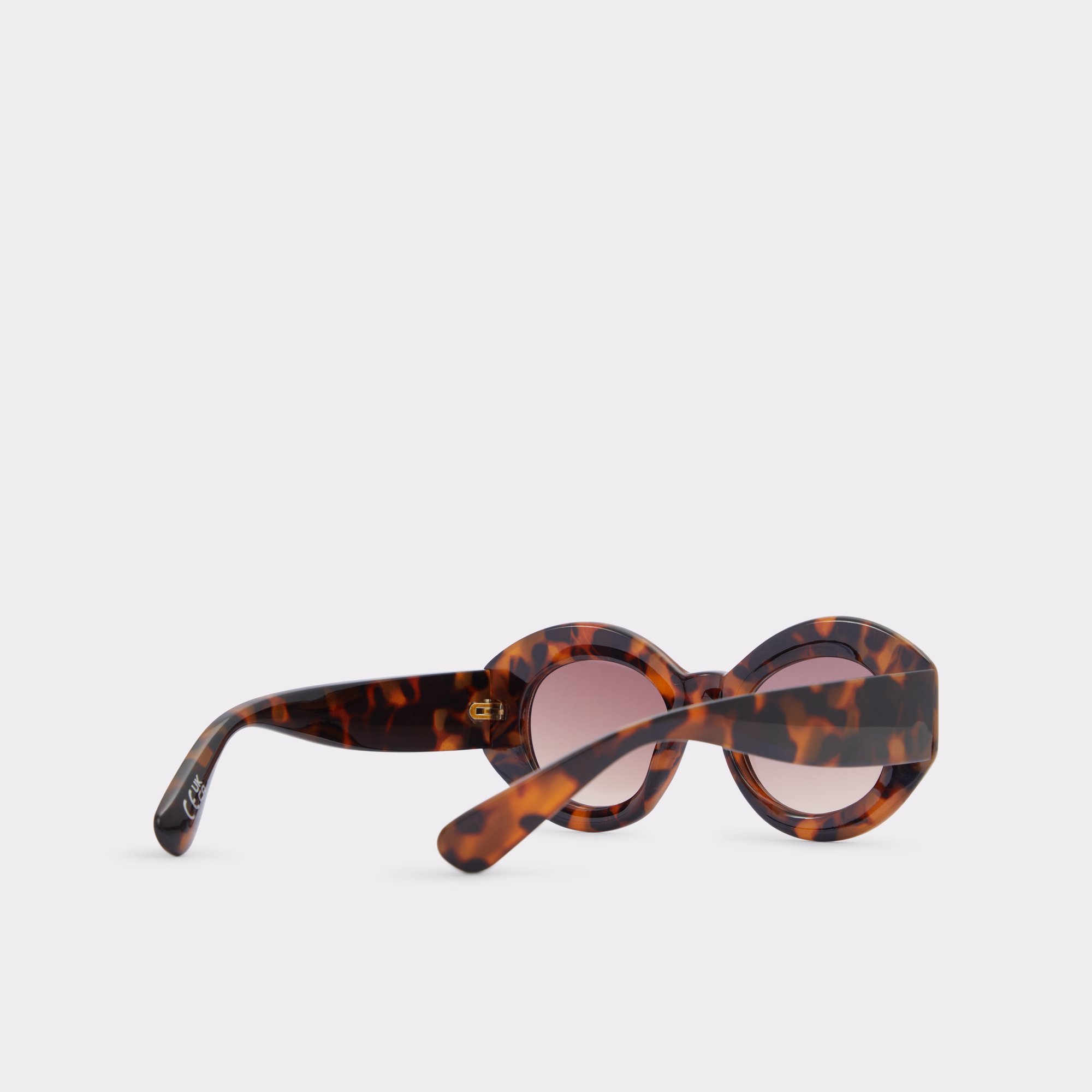 Rigar Other Brown Women's Statement sunglasses | ALDO Canada