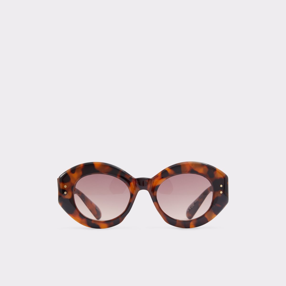 Rigar Other Brown Women's Statement sunglasses | ALDO Canada