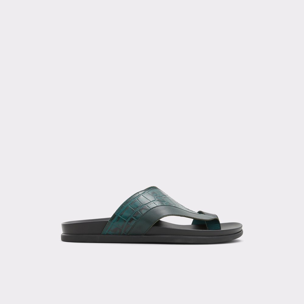 Men's Sandals: Flip Flops, Slide Sandals & Leather Sandals | ALDO US