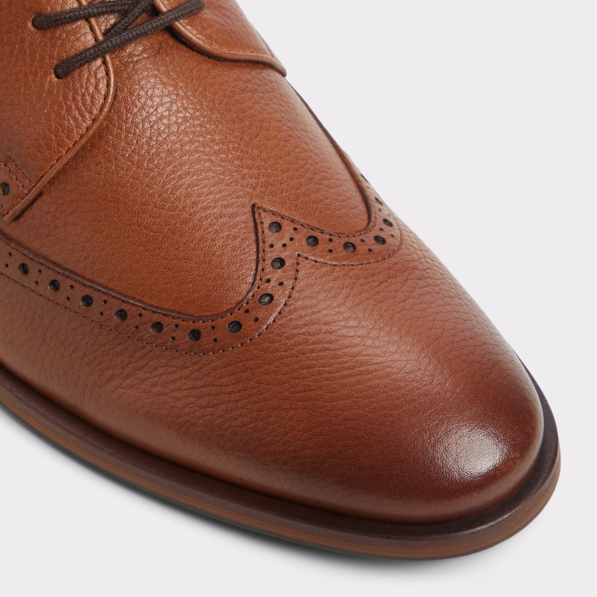 Sargasso Cognac Hommes Chaussures habillées | ALDO Canada