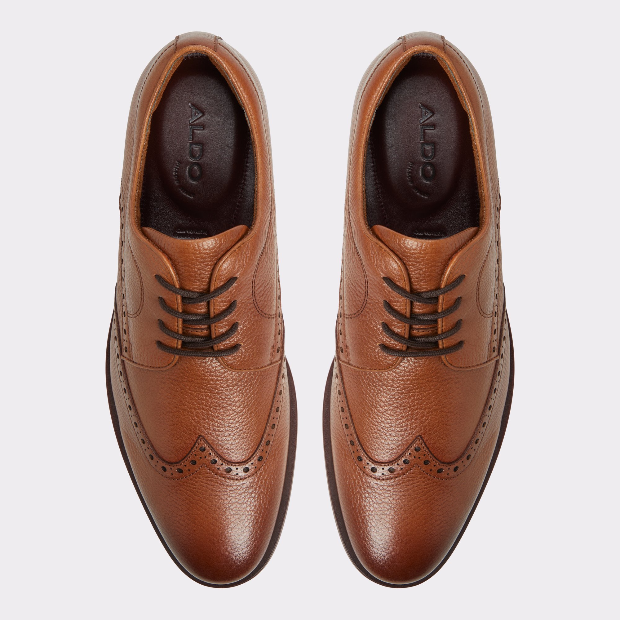 Sargasso Cognac Hommes Chaussures habillées | ALDO Canada