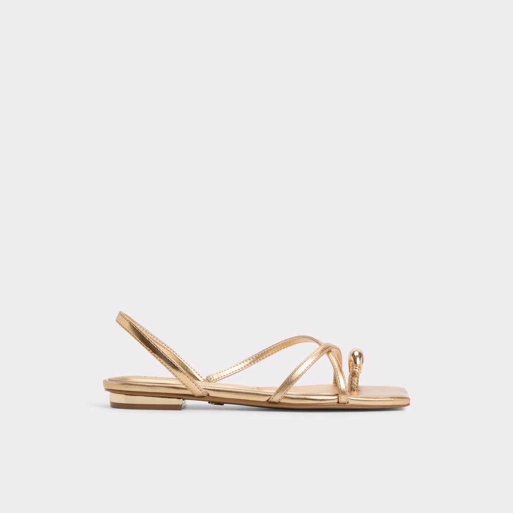 Women's Shoes, Handbags & Accessories | ALDO US