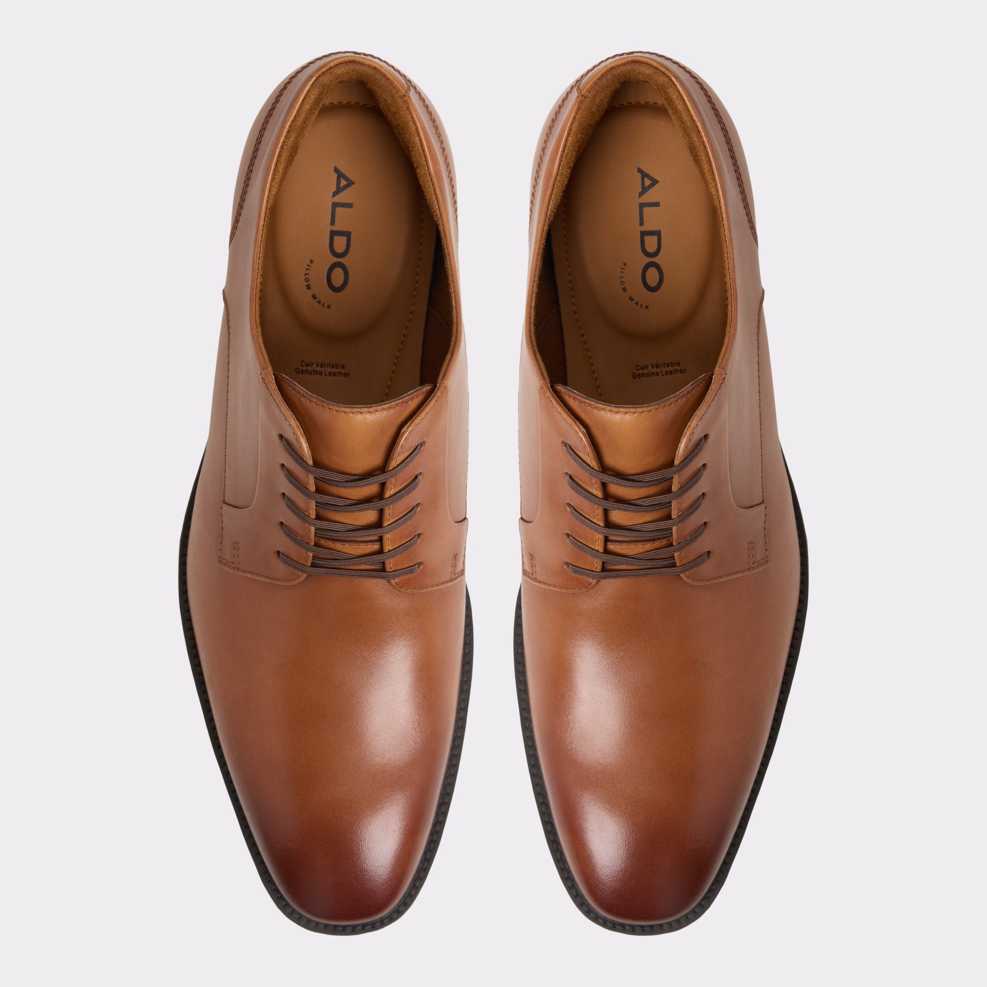 Teodoro Cognac Hommes Chaussures oxford et lacées | ALDO Canada