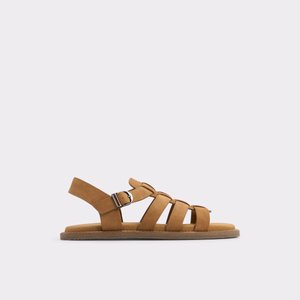 warley_brown_237-001-