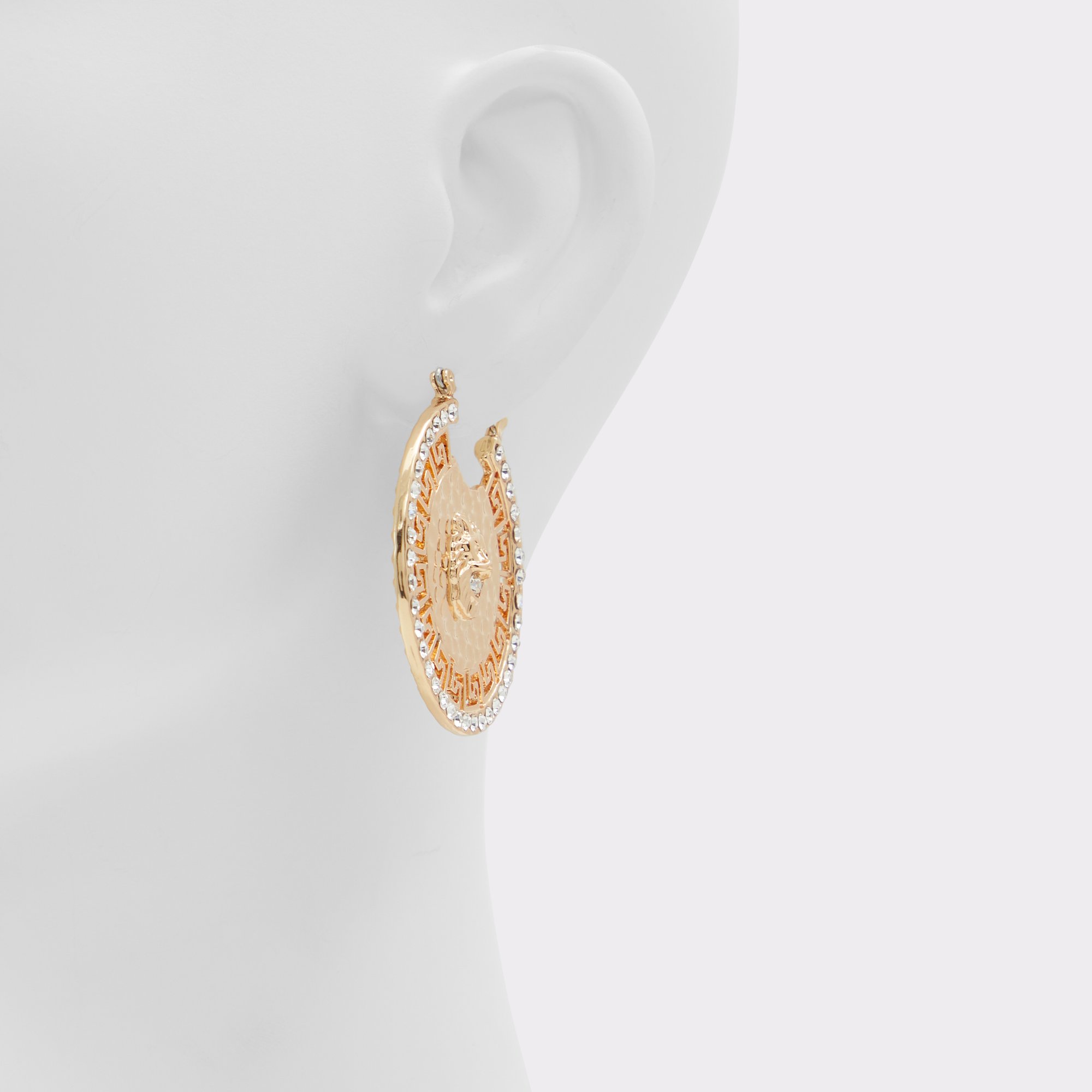 Wigollora Gold/Clear Multi Women's Earrings | ALDO Canada