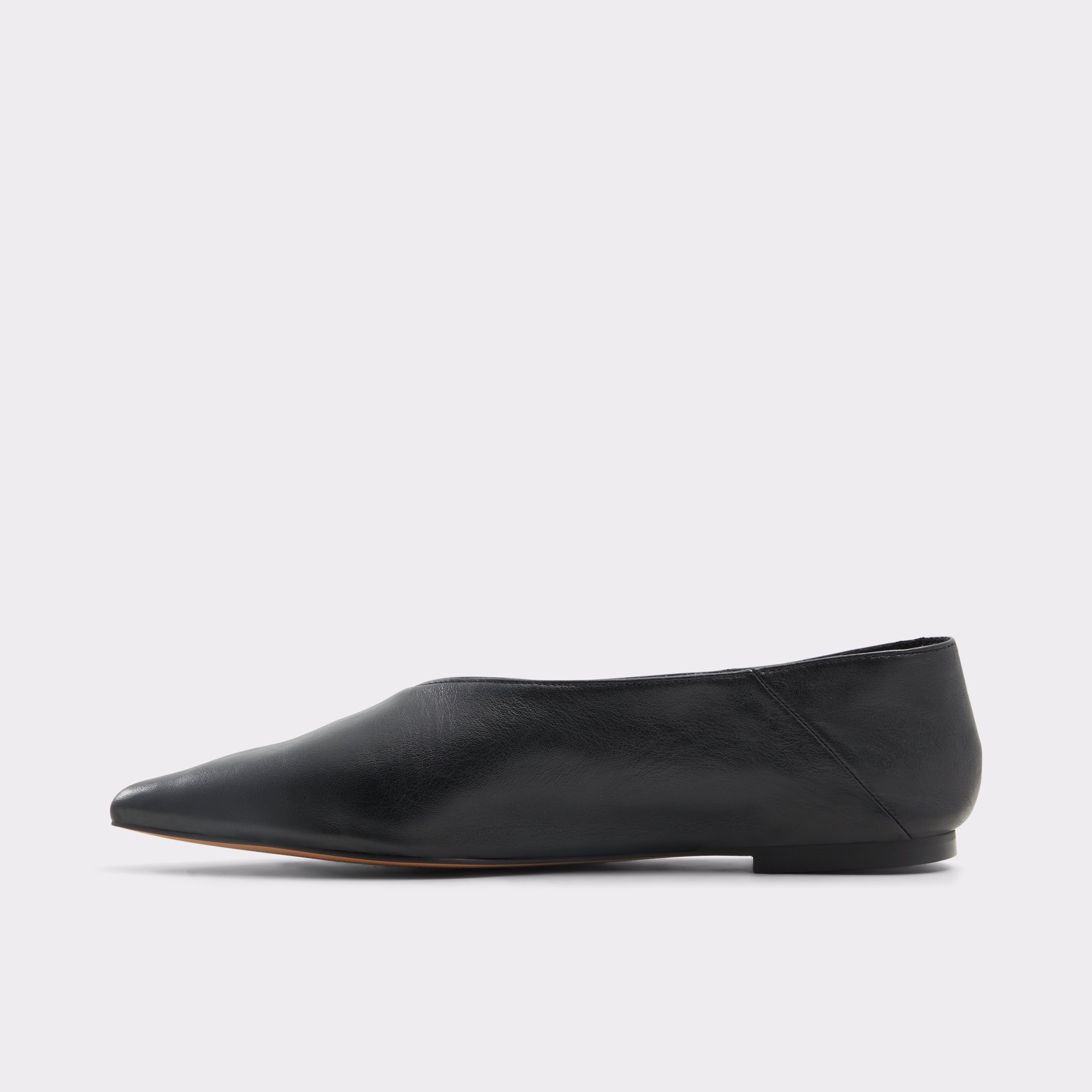 Zolissa Black Women's Ballet Flats | ALDO Canada