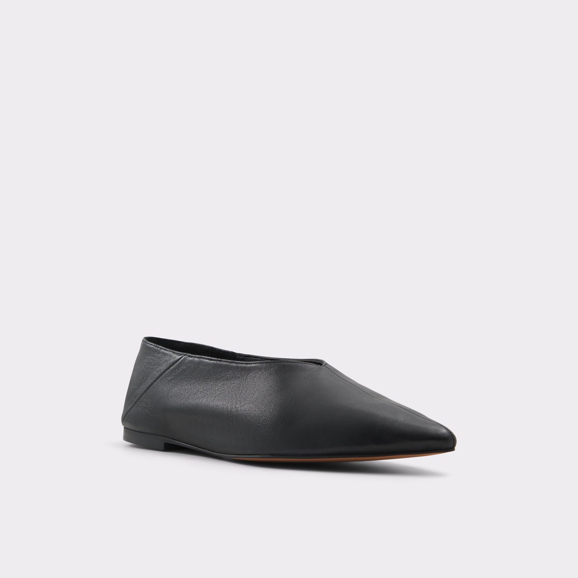 Zolissa Black Women's Ballet Flats | ALDO Canada